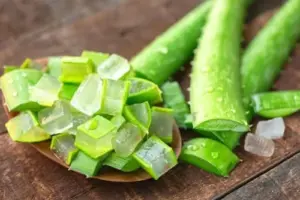 Aloe Vera Plant Live Indoor Succulent 4 Inch Potted for Gardening
