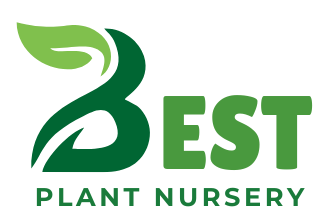 Best Plant Nursery – Buy trees online