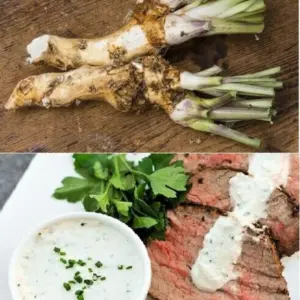 Horseradish Crown Root Plant, Planting Size Roots, Fresh Live Perennial