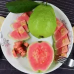 Pink Guava Tree Live Plant - Indoor/Outdoor Fruit Plant, 5-7 Inch Starter