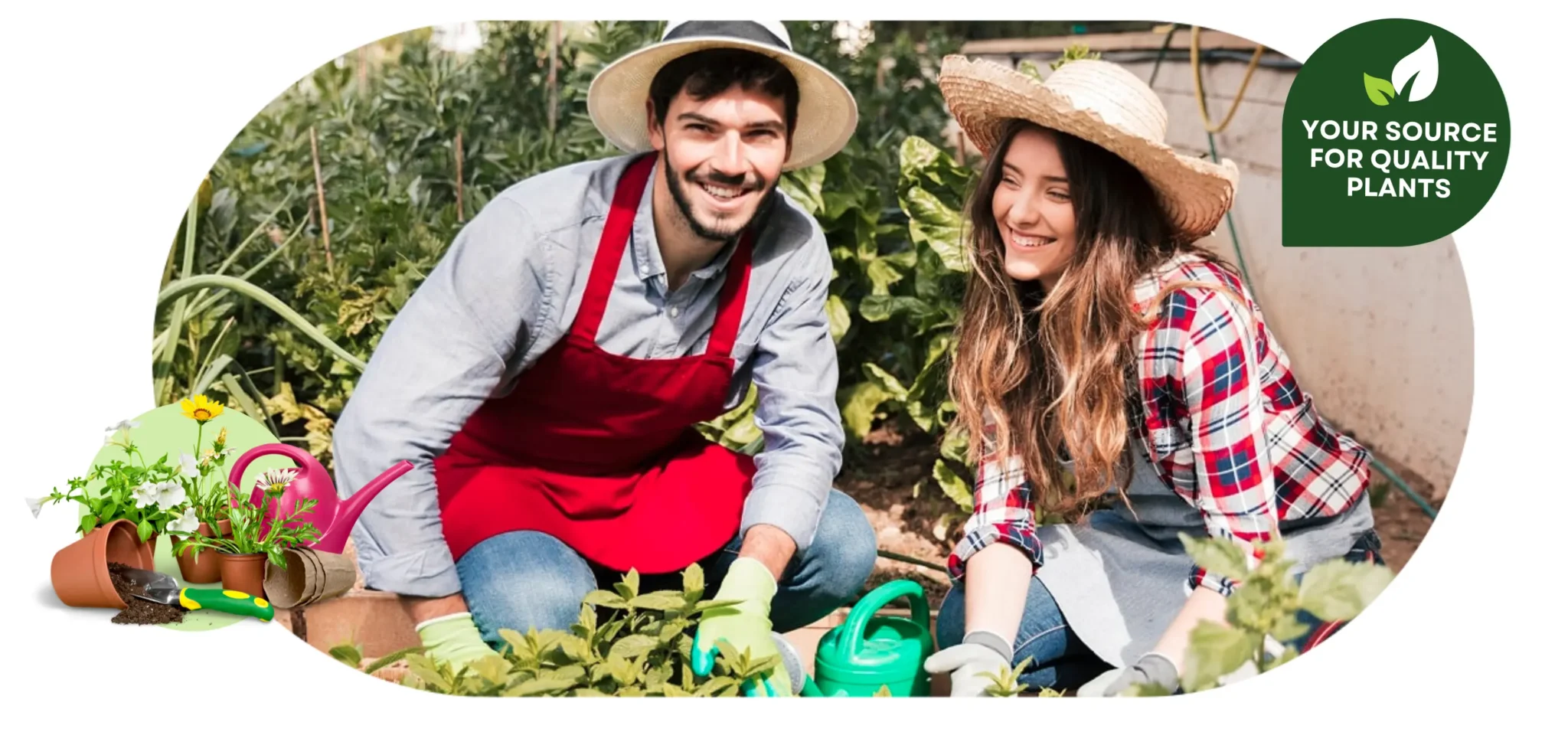 bestplantnursery banner