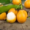 Achacha Live Plant – 1 to 2 feet tall – 3 Gallon Pot – Tropical Fruit Tree - Image 1