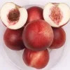 Arctic Jay White Nectarine Tree - Live Plant - 3 ft Tall - 3 Gallon Pot - Image 1