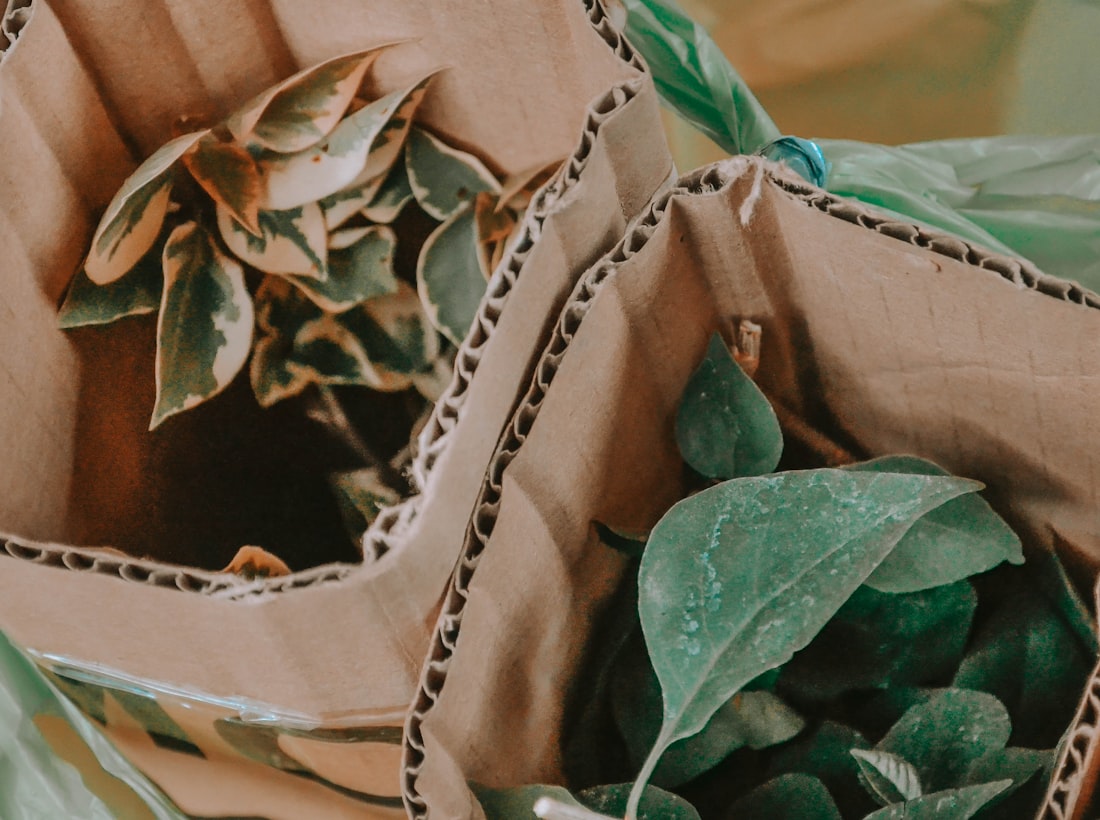 Live plants carefully packed in protective boxes