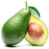 Bacon Avocado Tree Live Plant - Grafted, Cold-Hardy, 1-2 ft Tall, 6 inch Pot - Image 1