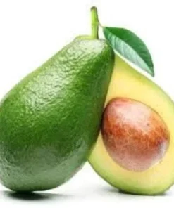 Bacon Avocado Tree Live Plant - Grafted, Cold-Hardy, 1-2 ft Tall, 6 inch Pot - Image 1