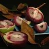 Caimito Live Plant – Star Apple Tree – 2-3 ft Tall – 3 Gallon Pot - Image 1