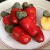 Cashew Live Plant - 2 Feet Tall - Fruit Tree in Pot - Image 1