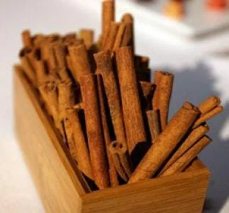 Cinnamon Tree Live Plant – 1 Ft Tall – Potted in 6-Inch Container – Tropical Spice Plant - Image 2