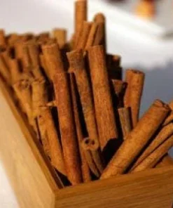 Cinnamon Tree Live Plant – 1 ft Tall – Ships in 6 inch Pot – Tropical Spice Plant - Image 2