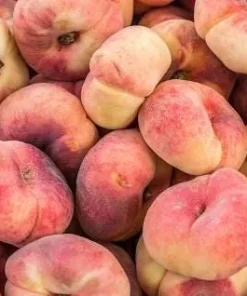 Donut Peach Tree Live Plant – 3 to 4 feet tall – in 3 Gallon Pot – Outdoor Fruit Tree - Image 2