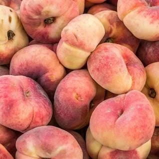 Donut Peach Tree Live Plant – 3 to 4 feet tall – in 3 Gallon Pot – Outdoor Fruit Tree - Image 2