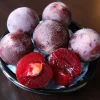 Flavor King Pluot Tree - Plum-Apricot Hybrid Live Plant - 3-4 Feet Tall, 3 Gallon Pot - Image 1