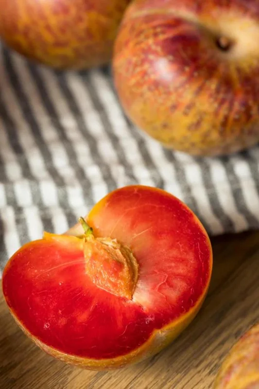 Flavor Supreme Pluot Tree Live Plant – 3-4 Feet Tall – 3 Gallon Pot - Image 2