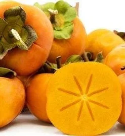Fuyu Jiro Persimmon Tree – Live Plant – 3-4 ft Tall – 3 Gallon Pot – Outdoor Fruit Tree - Image 1