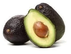 Lamb Hass Avocado Tree – 1 Ft Tall Grafted Live Plant – Outdoor Fruit Tree - Image 1