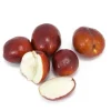 Li Jujube Tree - 3ft Tall Grafted Live Plant in 3 Gallon Pot - Zones 5-10 - Image 1