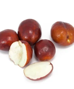 Li Jujube Tree - 3ft Tall Grafted Live Plant in 3 Gallon Pot - Zones 5-10 - Image 1