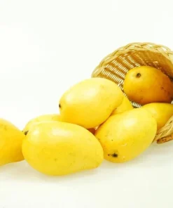 Manila Mango Live Tree Plant - 2 to 3 Feet Tall - Ships in 6 Inch Pot - Image 2