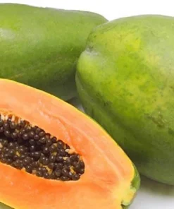 Mexico Papaya Live Plant - 1 Foot Tall - Ships in 6 inch Pot - Tropical Fruit - Image 2