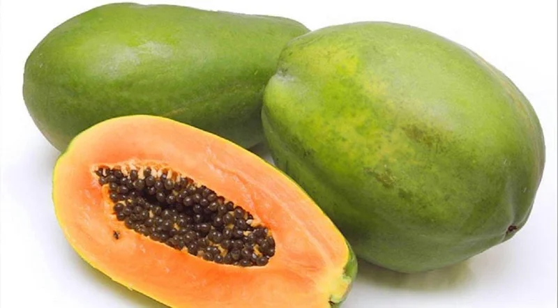 Mexico Papaya Live Plant - 1 Foot Tall - Ships in 6 inch Pot - Tropical Fruit - Image 2
