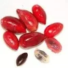 Miracle Fruit Berries - 10 Count - Taste Modifier - Image 1