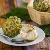 Sugar Apple Live Plant – Annona squamosa – 2 Feet Tall – 3 Gallon Pot - Image 1