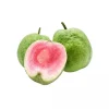 Taiwan Ruby Seedless Guava Live Plant - Grafted, 1-2 ft Tall, 3 Gallon Pot - Image 1