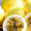 Yellow Passion Fruit Live Plant – 3 Ft Tall Vine in 3 Gallon Pot – Outdoor Fruiting Plant - Image 1
