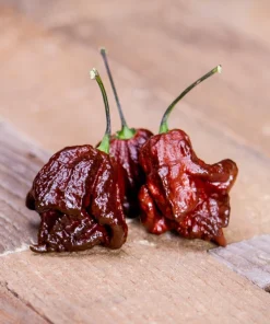 10 Chocolate Carolina Reaper Pepper Seeds - World's Hottest Chili Vegetable - Image 3