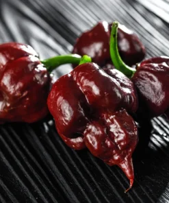 10 Chocolate Carolina Reaper Pepper Seeds - World's Hottest Chili Vegetable - Image 4