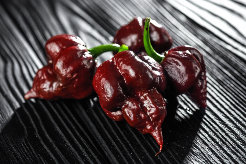 10 Chocolate Carolina Reaper Pepper Seeds - World's Hottest Chili Vegetable - Image 4