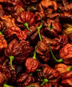 10 Chocolate Carolina Reaper Pepper Seeds - World's Hottest Chili Vegetable - Image 5