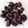 10 Chocolate Carolina Reaper Pepper Seeds - World's Hottest Chili Vegetable - Image 1