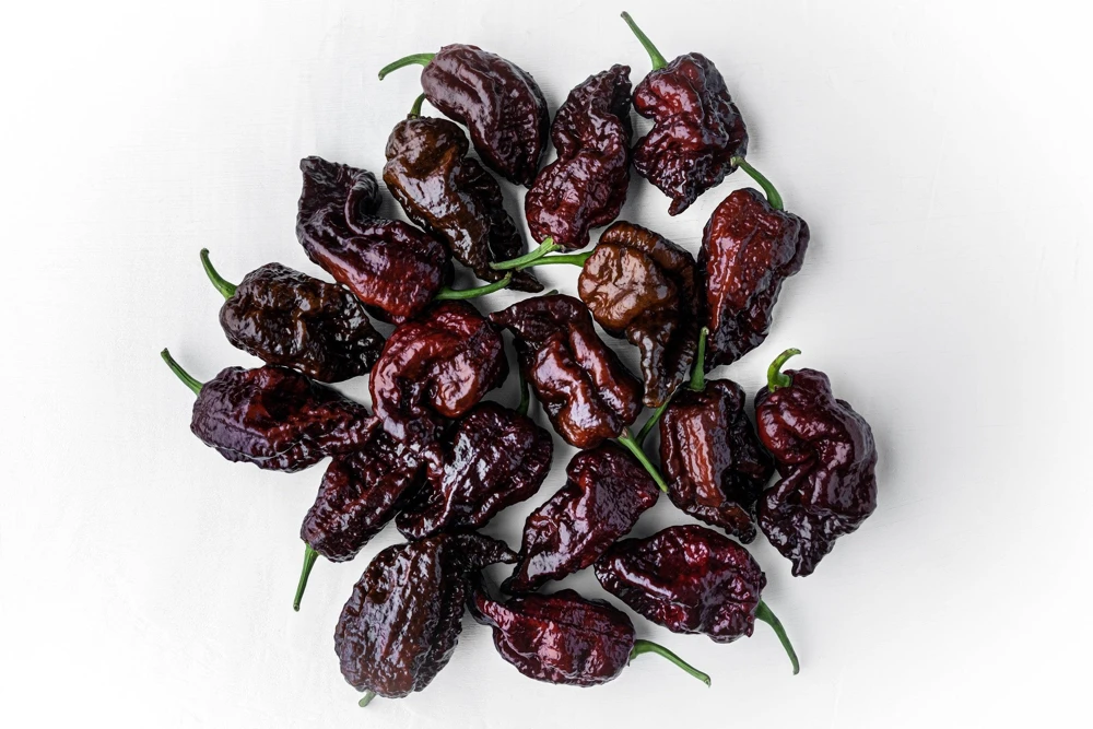 10 Chocolate Carolina Reaper Pepper Seeds - World's Hottest Chili Vegetable - Image 1