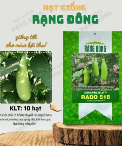 10 F1 Bottle Gourd Seeds for Planting - Long Bottle Gourd - Image 2