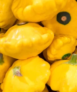 10 Golden Yellow Bush Scallop Squash Seeds - Patty Pan Summer Vegetable - Image 3