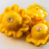 10 Golden Yellow Bush Scallop Squash Seeds - Patty Pan Summer Vegetable - Image 1
