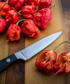 10 Red Carolina Reaper Pepper Seeds - World's Hottest Chili Vegetable Seeds - Image 6
