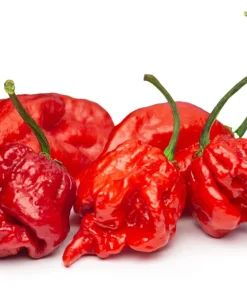 10 Red Carolina Reaper Pepper Seeds - World's Hottest Chili Vegetable Seeds - Image 7