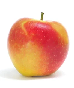 100 Ambrosia Apple Tree Seeds - Fresh Edible Heirloom Fruit Seeds - Image 1