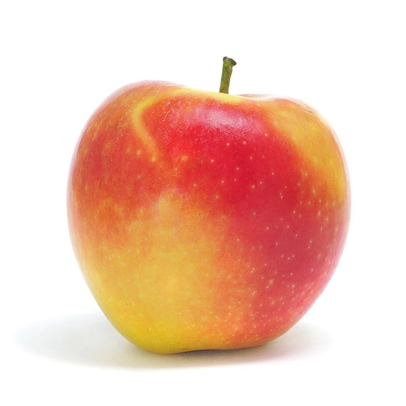 100 Ambrosia Apple Tree Seeds - Fresh Edible Heirloom Fruit Seeds - Image 1