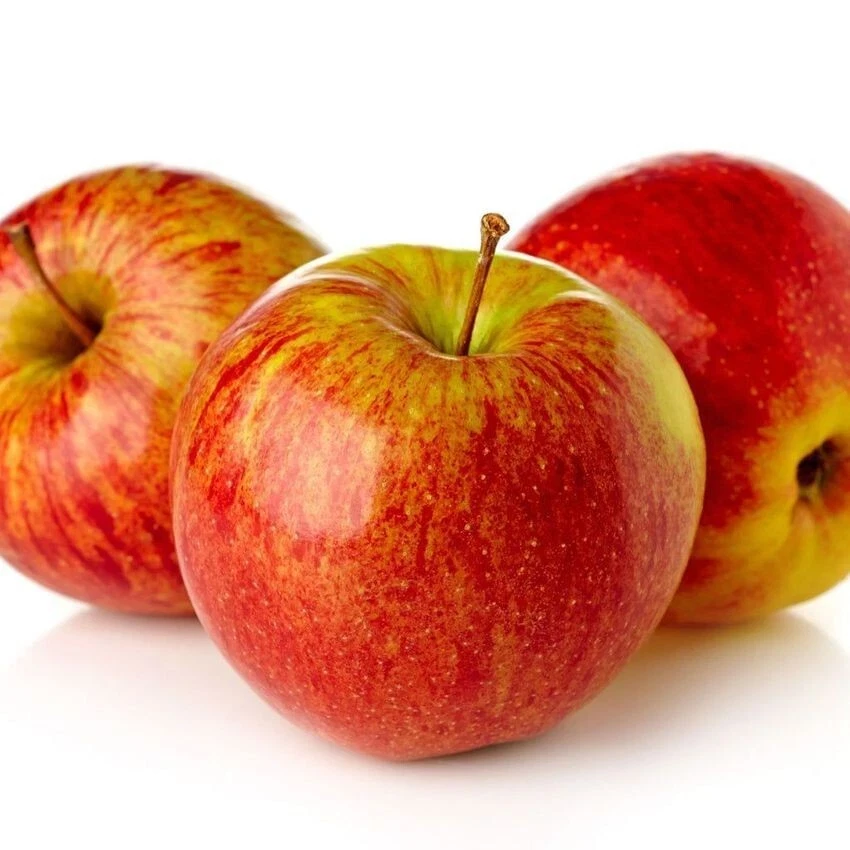100 Anna Apple Tree Seeds - Grow Edible Red Apples from Seed - Image 1