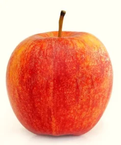 100 Cosmic Crisp Apple Tree Seeds - Grow Your Own Edible Apple - Image 1