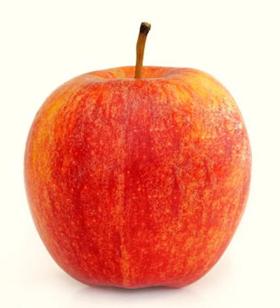 100 Cosmic Crisp Apple Tree Seeds - Grow Your Own Edible Apple - Image 1