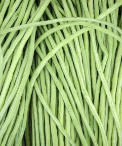100 Lady Cowpea Seeds - White Lady Finger Bean Vegetable Seeds - Image 5