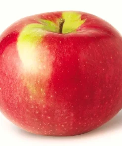 100 McIntosh Apple Tree Seeds - Edible Fruit Tree Seeds - Image 1