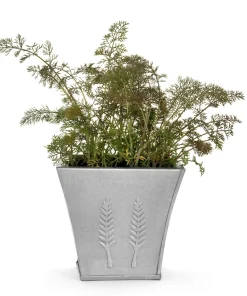 100 Organic Bronze Fennel Seeds - Foeniculum Vulgare Purpureum Herb - Image 5