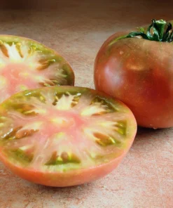 100 Organic Purple Cherokee Tomato Seeds - Heirloom Vegetable for Garden - Image 1