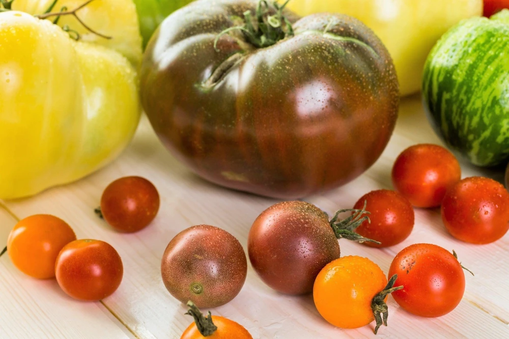 100 Organic Purple Cherokee Tomato Seeds - Heirloom Vegetable for Garden - Image 3